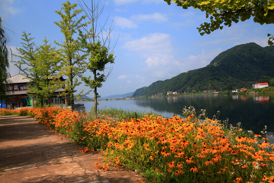 绿树红花山水