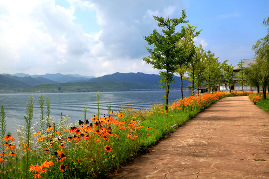 绿树红花风景