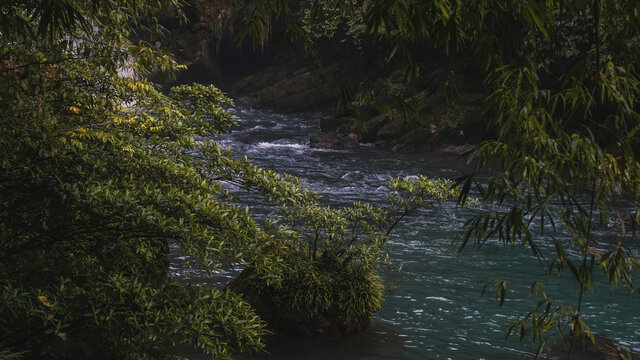 荔波茂兰国家级自然保护区