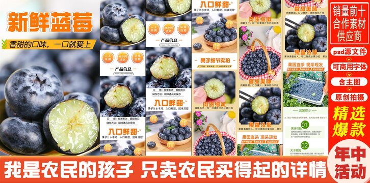 蓝莓鲜果详情页