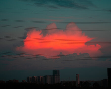 夕阳电线