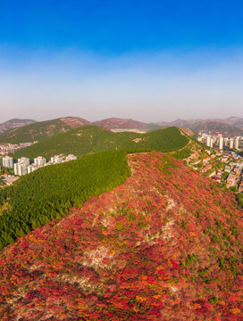 山东济南蝎子山秋天航拍