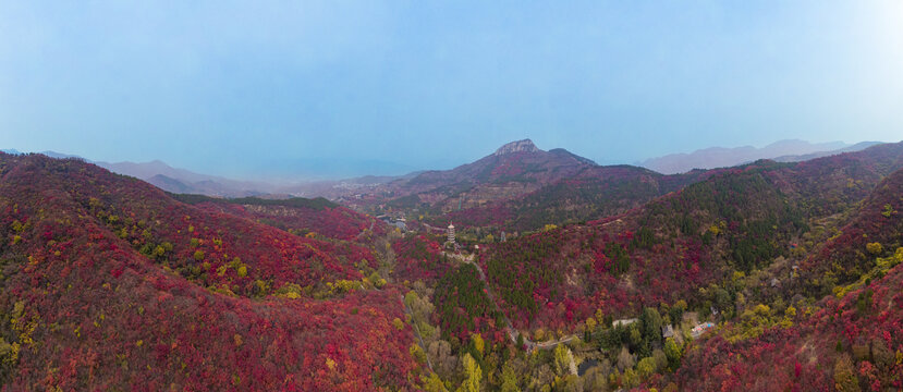 山东济南红叶谷秋天航拍全景