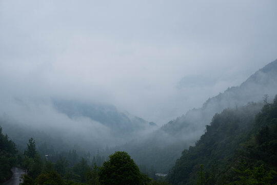 云山雾海