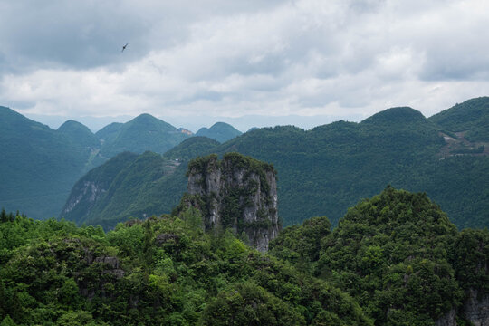 青山