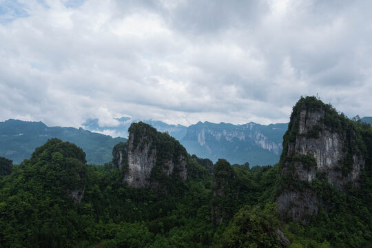 青山