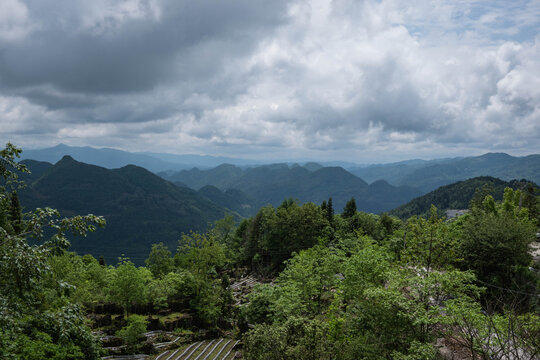 青山