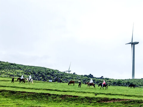 草原骑马