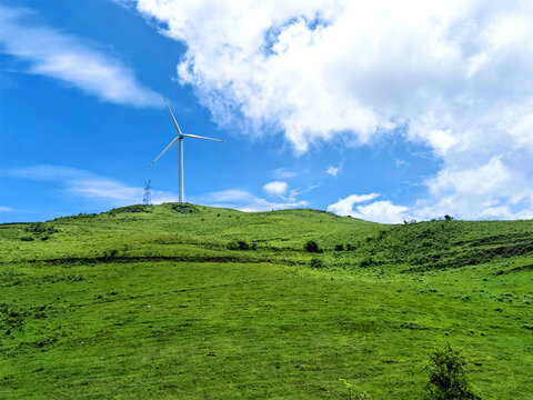 草原草场