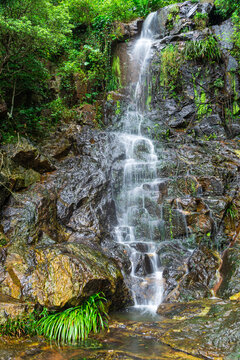 香港太平山森林山水风景