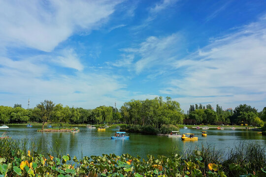 北京亮马河公园夏日荷塘游船