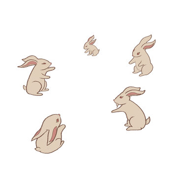 五只兔子