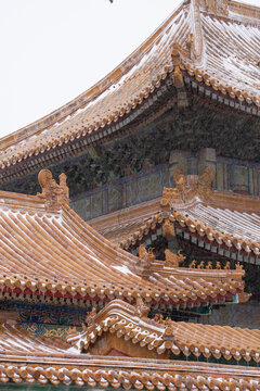 北京故宫雪景