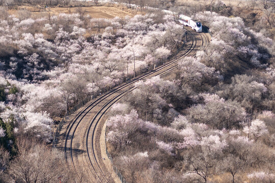 北京居庸关长城花海列车