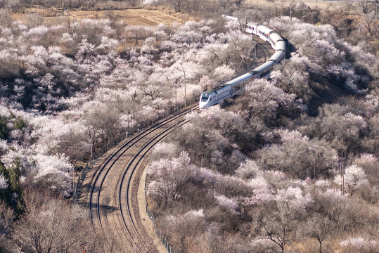 北京居庸关长城花海列车