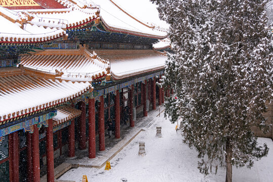 北京颐和园雪景