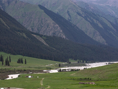 新疆伊犁的草原森林河流