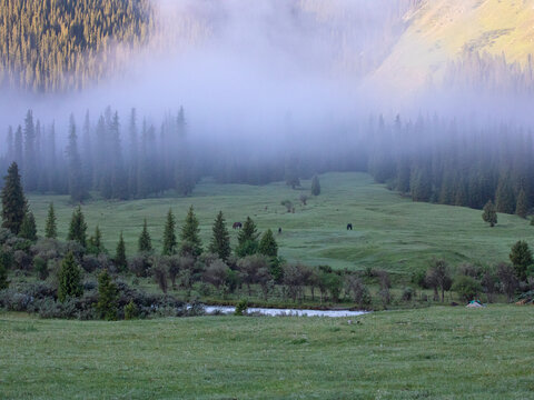 早晨雾气中的的草原大山风景