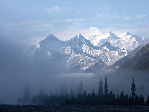 早晨大雾中的森林雪山风景