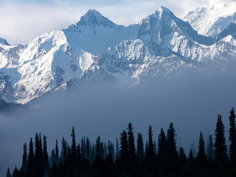 早晨大雾中的森林雪山风景