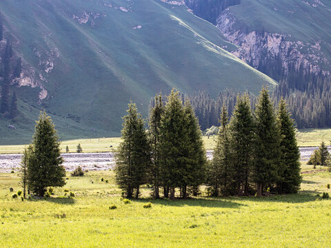 新疆的草原森林大山风景