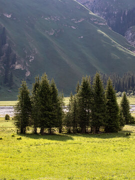 新疆的草原森林大山风景