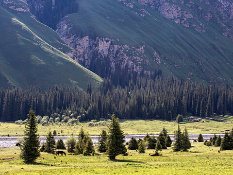 新疆的草原森林大山风景