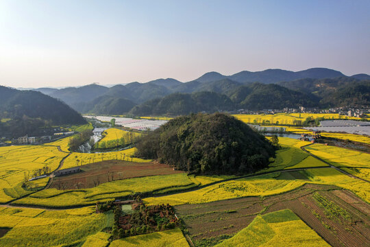 罗平油菜花田