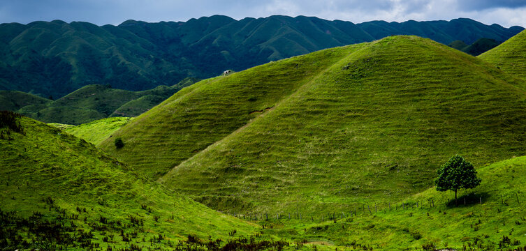 南山牧场