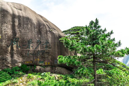 黄山迎客松