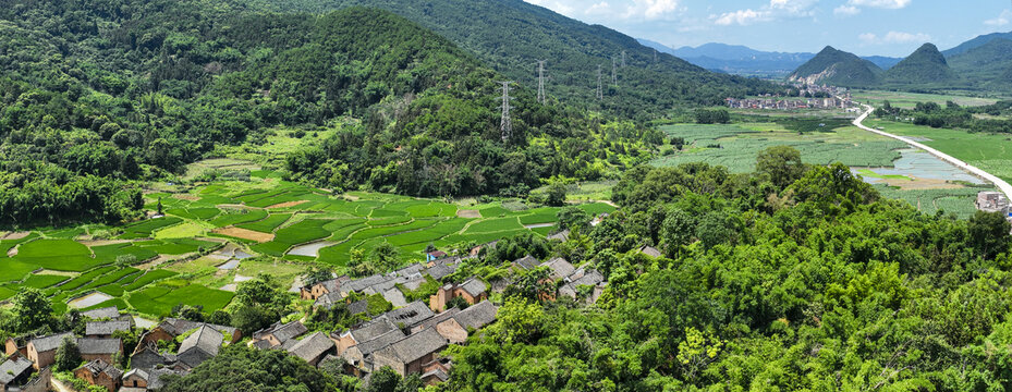 钟山鳖岭村渡槽古榕