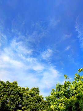 天空云彩树木