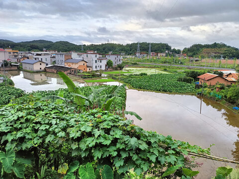 农村风景