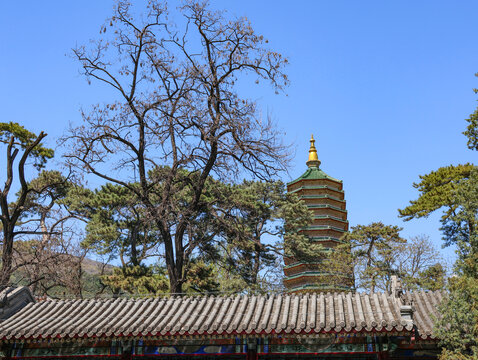 北京八大处灵光寺