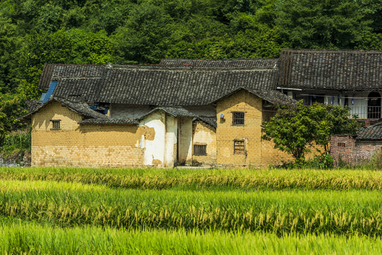 南方农村泥砖瓦房