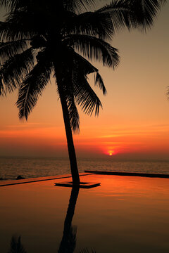 大海夕阳椰子树