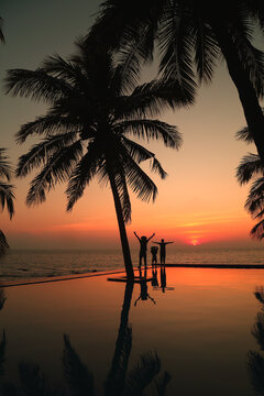 大海椰树夕阳