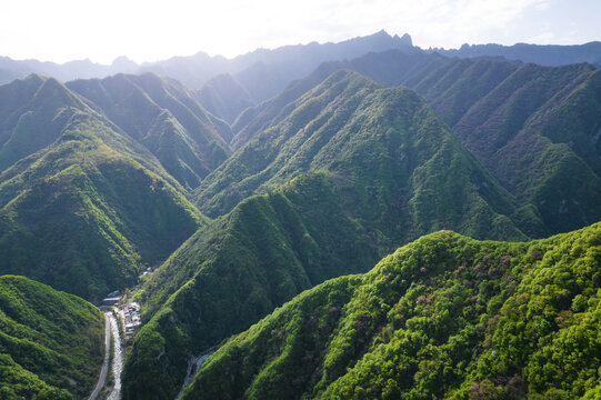 秦岭春景