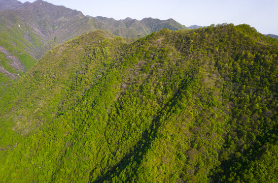 秦岭山脉