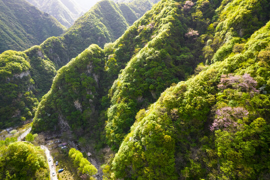 秦岭西寺沟