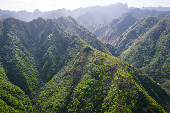 秦岭北麓