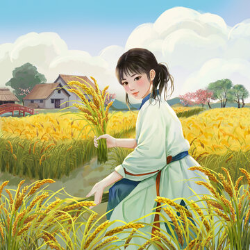 丰收的水稻