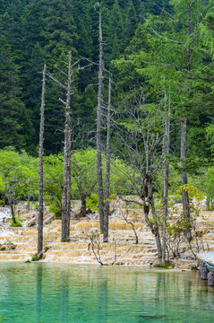 黄龙地质风光