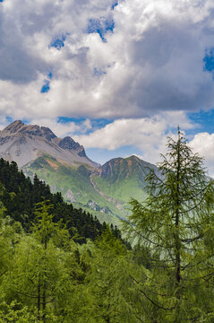 黄龙的山顶与天空