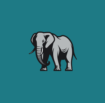 大象插画