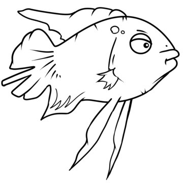 热带鱼儿童画