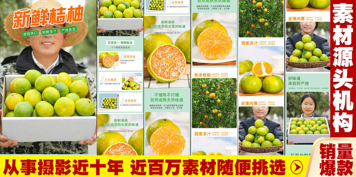 新鲜桔柚详情页