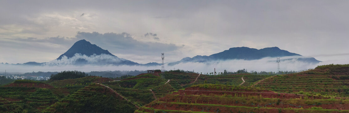 上犹县油石笔架山茶旅文化基地