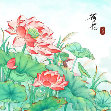 原创手绘水彩风重瓣荷花插画