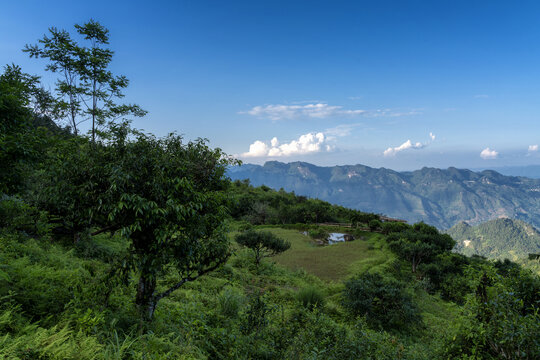 麻栗坡茶坪山